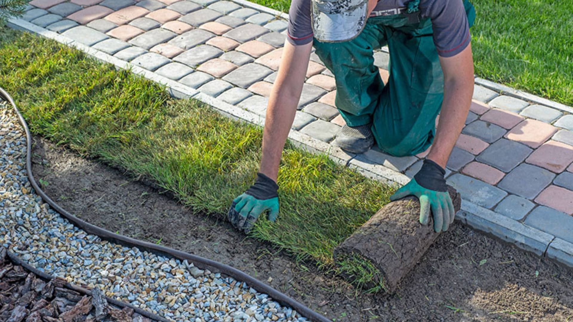 Bild zu Rasen- & Flächengestaltung (Rollrasen) von deinen Garten Profis