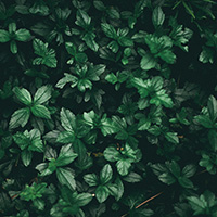 Verkauf, Installation und Wartung von Mährobotern