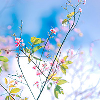 Verkauf und Installation von Gartenbeleuchtung