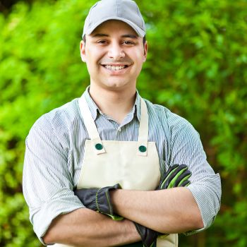 Professionelle Gartenpflege & Pflanzarbeiten für einen gepflegten Garten bei den Garten Profis