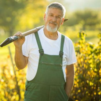 Professionelle Rasen- & Bodenarbeit für einen gepflegten Garten bei den Garten Profis
