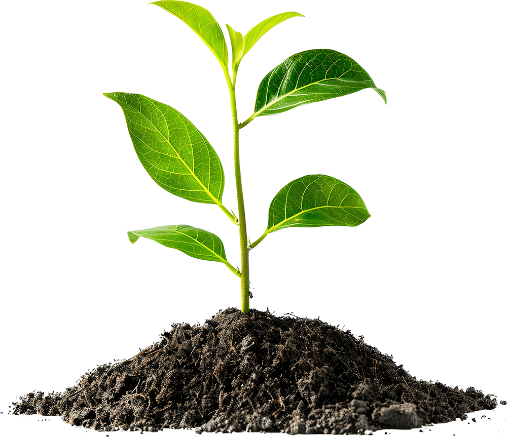 Gartenbau - Häufig gestellte Fragen an die Garten Profis