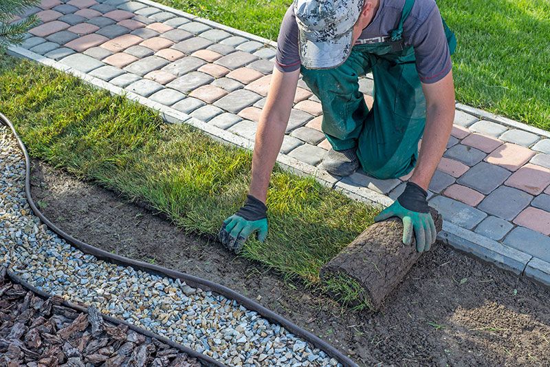 Professionellen Verlegung von Rollrasen oder Saatrasen durch die Garten Profis