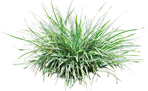 Fachgerechte Rasen- & Bodenarbeiten für ein gepflegtes Gartenbild von den Garten Profis