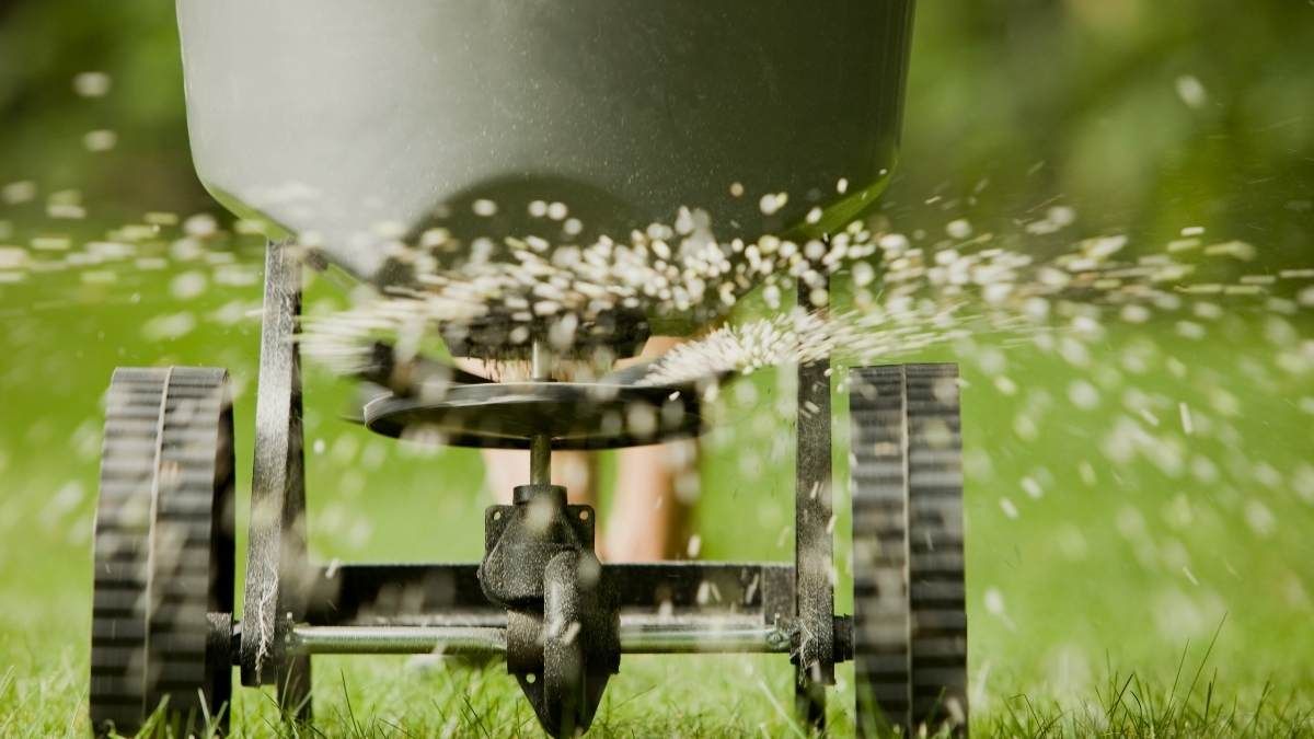 Bild vom Düngen von deinen Garten Profis aus dem Rhein Main Gebiet