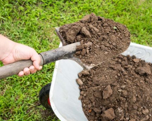 Boden & Erdarbeiten für einen gepflegten Garten bei den Garten Profis