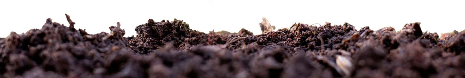 Professionelle Erdarbeiten für nachhaltiges Wachstum bei den Garten Profis