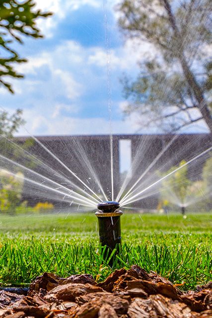 Installation und Wartung von Bewässerungsanlagen / Gartenbewässerung (Smart Irrigation Systems) Hunter/Rainbird